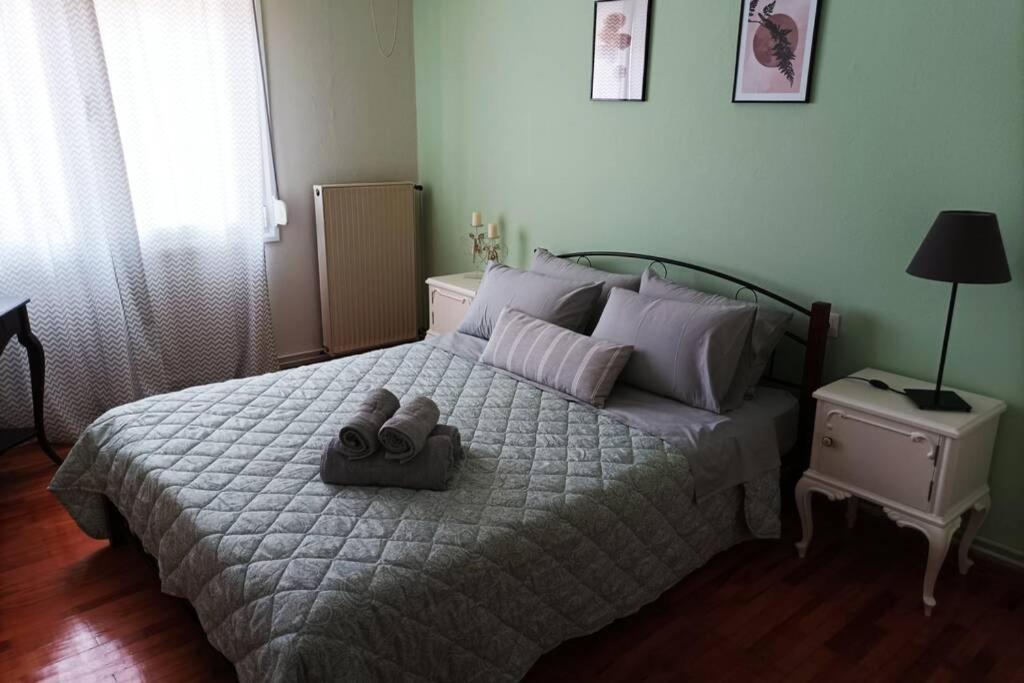 Aigli'S Urban Lodge Volos Luaran gambar